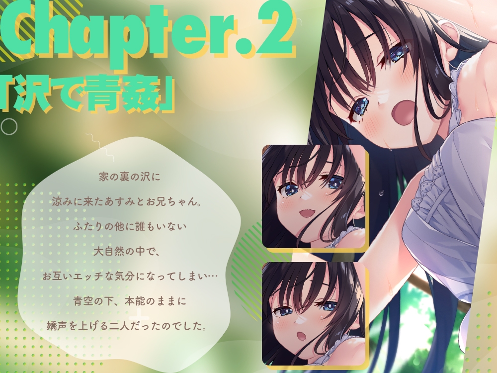 [LIVE2D/妹妹/有CV] ド田舎兄妹、超高解像度H動画&CG集vol1 [1.79 GB][度盘/P盘] 动画 第5张