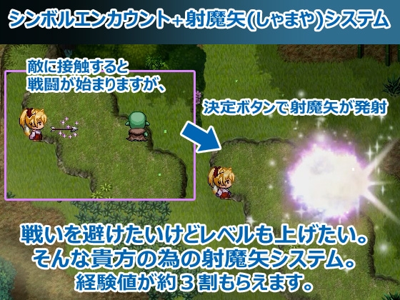 [DeepSeekV3.1翻译][强烈推荐/战斗H/巫女/援交/兽耳/动态] 花葬巫女咲夜 [全CG/度盘/P盘] 游戏 第4张